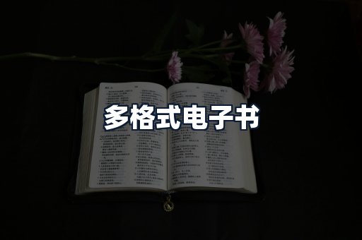 多格式电子书